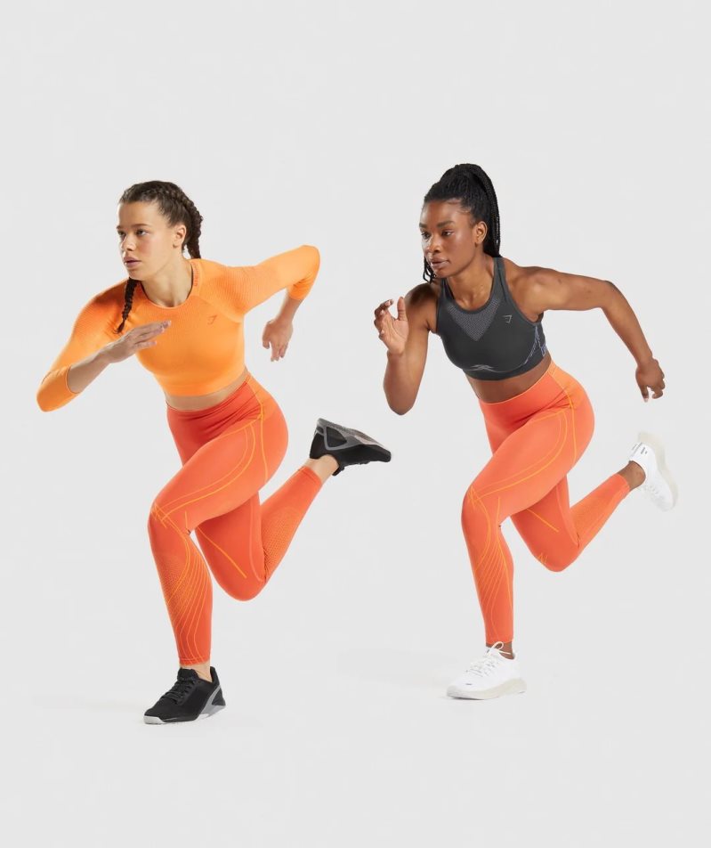 Women's Gymshark Apex Seamless High Rise Leggings Orange | CA 163DNA